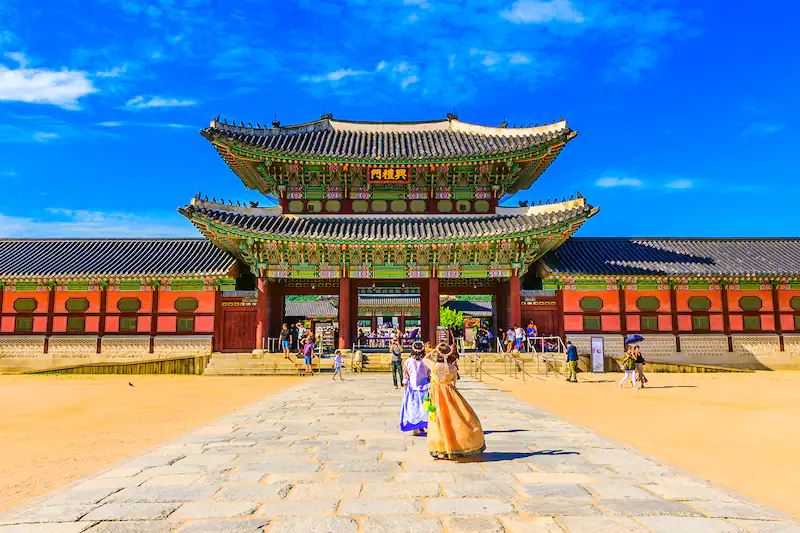 KHÁM PHÁ MÙA HOA ANH ĐÀO HÀN QUỐC