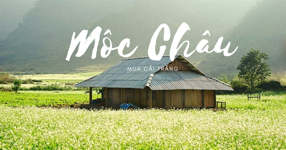 TOUR MỘC CHÂU - CẦU KÍNH BẠCH LONG